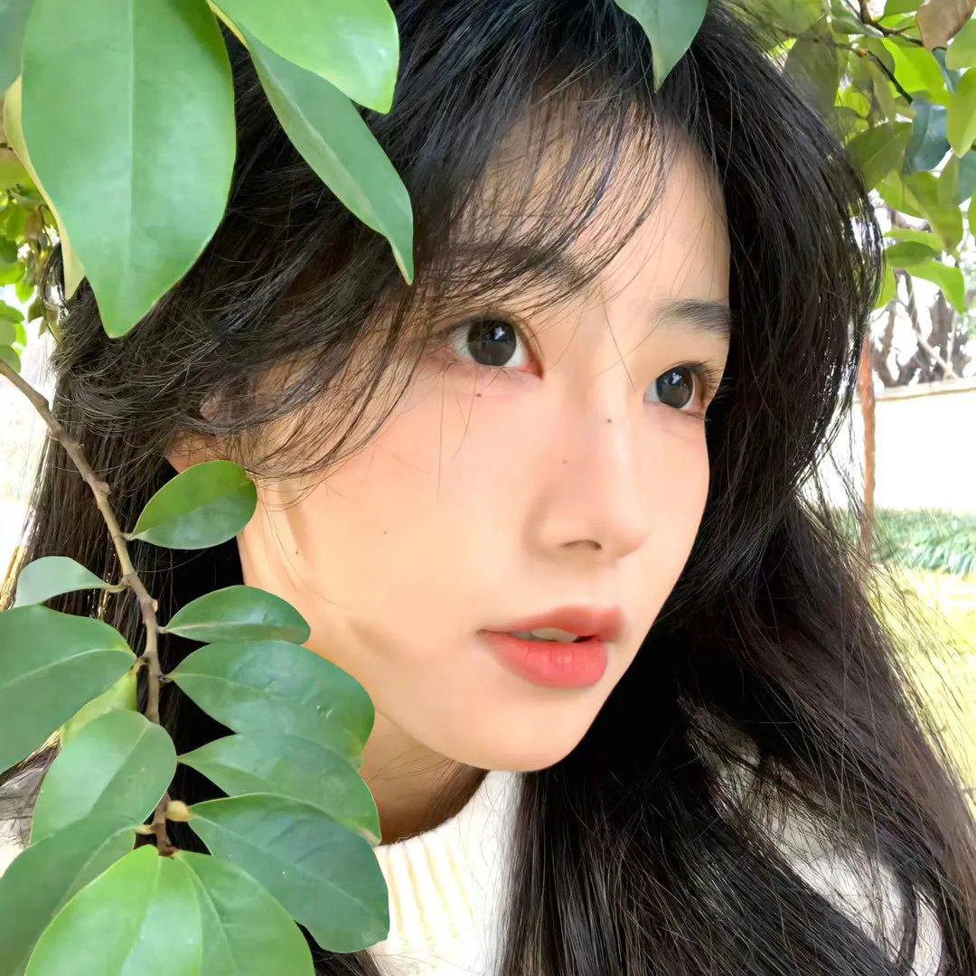 蓝色茉莉