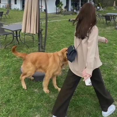 营盘镇警事